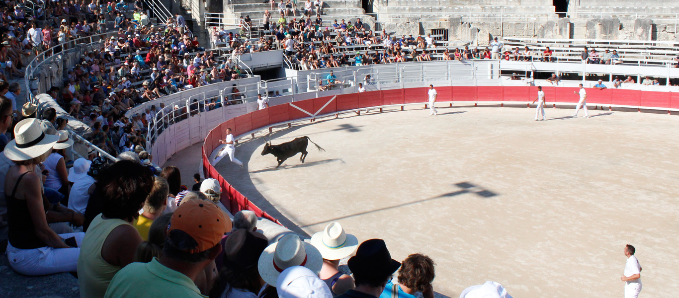 Stierrennen, bull race genannt in Arles