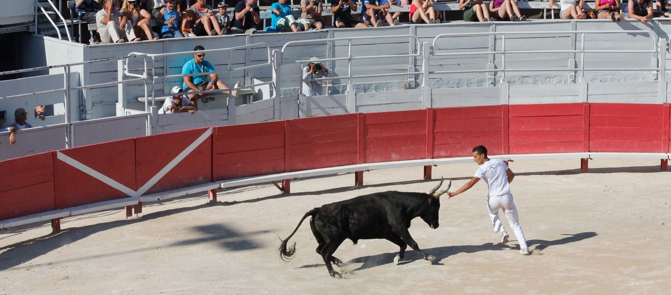 Bullrace in der Arena von Arles