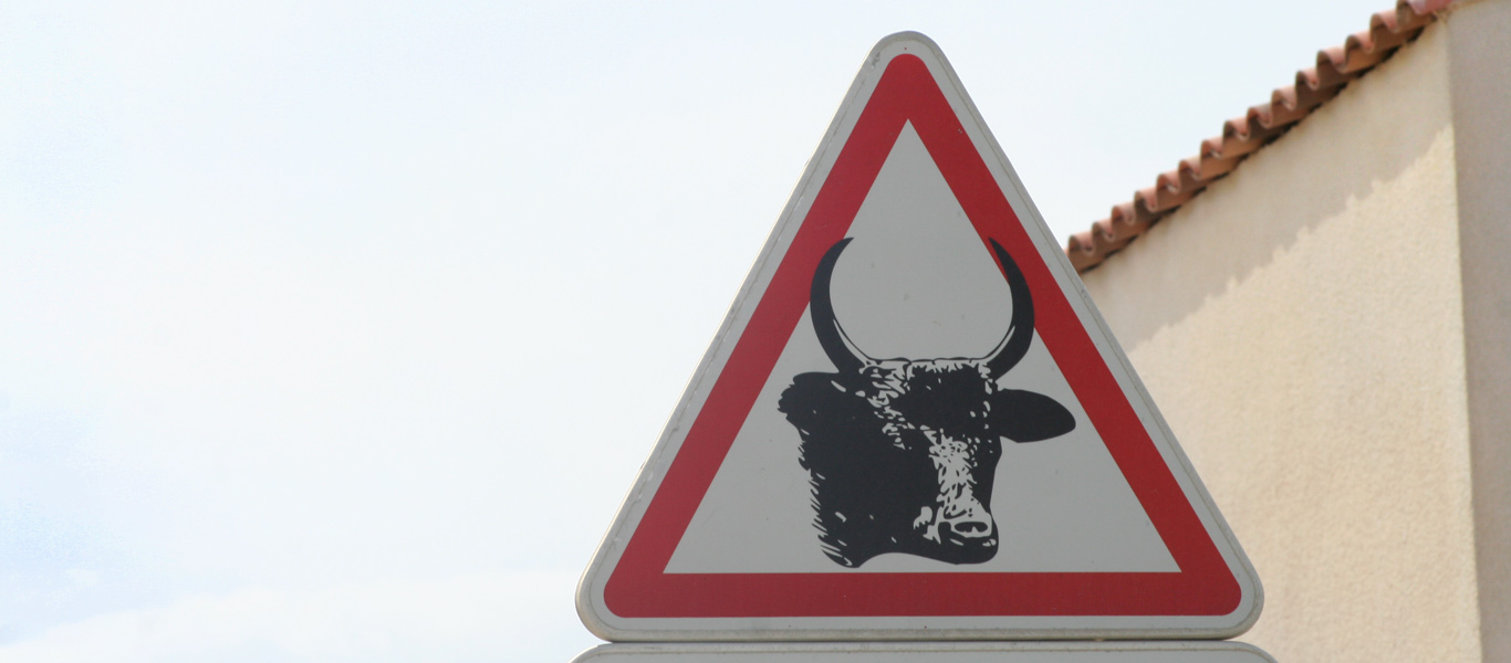 Schild (Vorsicht vor Stieren) aus dem Wildpark in der Camarque, by woidesign